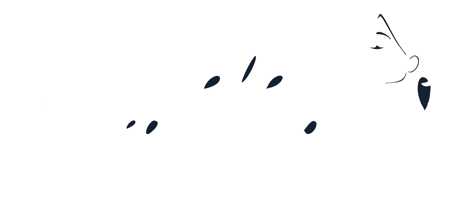 timelessbeautytips.com